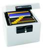 Fire Safe Security Files Model 1175 for