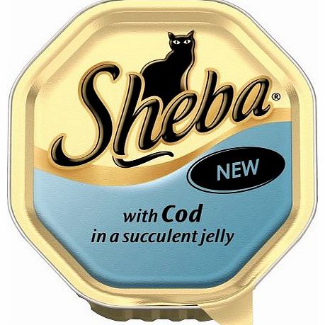 Sheba Cat Food Tray Tender Pieces of Cod in Jelly 100g (Pack of 16)