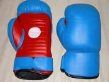 Coachspar Boxing Gloves - Offensive/Defensive - Leather SPECIAL LOW PRICE !!!