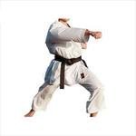 Karate Suit Heavy Weight Canvas (SIZE 4) VERY LOW SHIPPING !!!