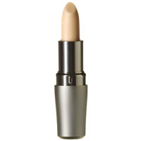 Shiseido The Skincare Protective Lip Conditioner (SPF