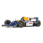 Signed Williams FW15C 1993 Damon Hill