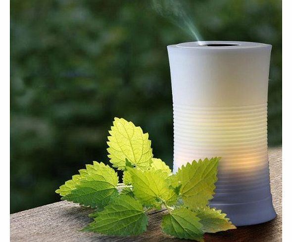 100ML Aroma Diffuser Humidifier Ultrasonic Aromatherapy Air Mist Purifier LED Light 7 Colour Changing