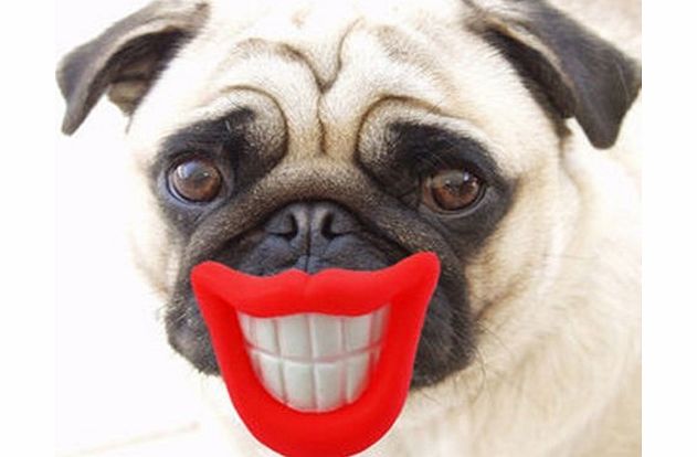 SIL FUNNY SMILE DOG PET BALL THROW RUBBER TOY GRINNING LIPS PLAY