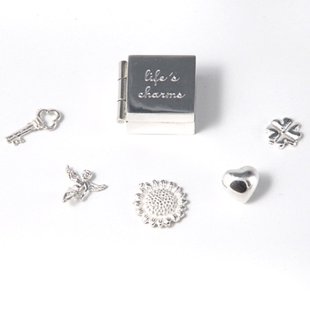 Lifeand#39;s Charms Box