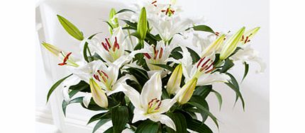 Simply White Lilies - flowers by post