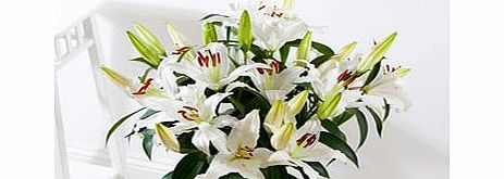 Simply White Lilies Bouquet