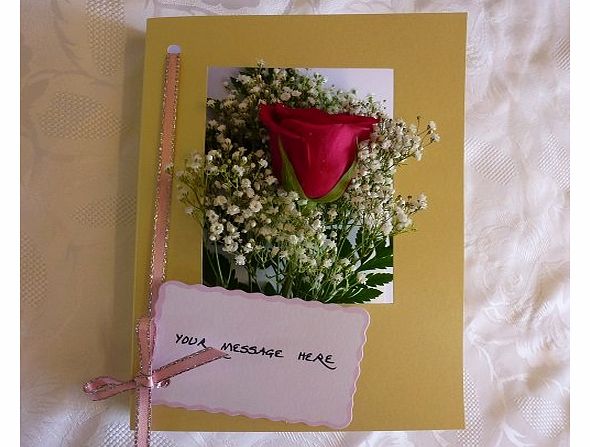 Single Pink Rose by Blooms of Guernsey Single Pink Rose Fresh Flower Card with Gypsophilia