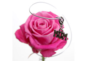 Rose and Vase Mothers Day Gift Set