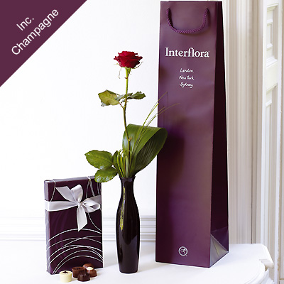 Single Rose Gift Set with Champagne