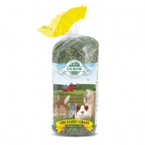 Oxbow Orchard Grass 1.1Kg