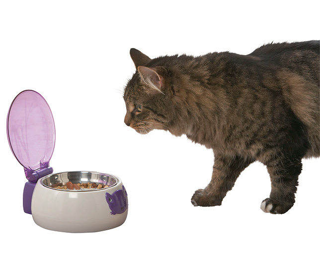 Smart Feeder Auto Opening Cat Bowl