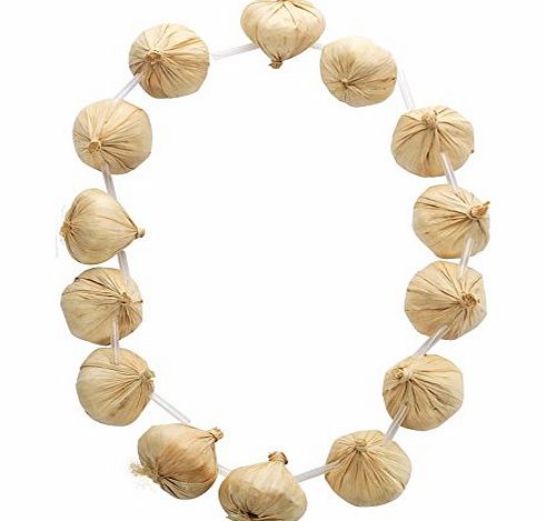 Smiffys Garlic Garland On Necklace (14 Pieces)