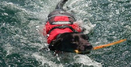 Soles Up Front Crewsaver Large Dog Lifejacket. TOP QUALITY PetFloat Buoyancy aid for your dog. Take on board your boat kayak or canoe. Keep your dog safe when around water.
