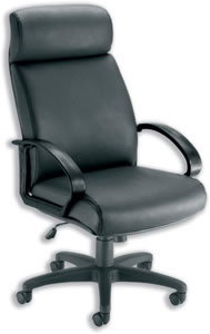 Sonix Ithica Armchair Back H700mm