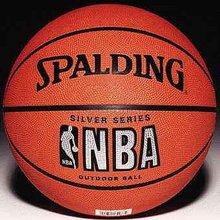 Spalding Official NBA Silver