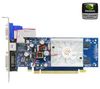 GeForce 8400 GS - 512 MB GDDR2 - PCI-Express 2.0