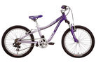 Specialized Hotrock 20 Girls 2010 Kids Bike (20 inch Wheel)