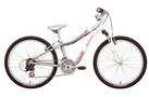 Specialized Hotrock 24 Girls 2010 Kids Bike (24 inch Wheel)