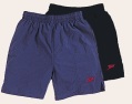 pack of two swimshorts
