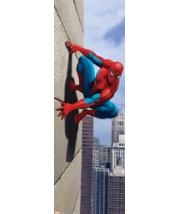 Spiderman Door Poster