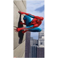 Spiderman Spider-Man Door Poster