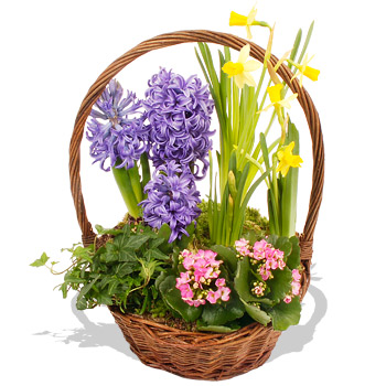 Spring Basket - flowers