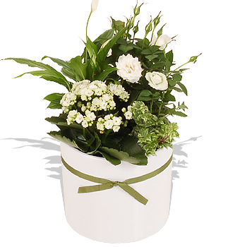 Spring White Planted Bowl - flowers
