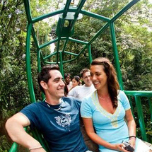 ST Lucia Rainforest Skyride - Adult