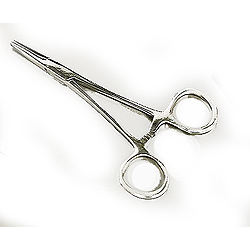Stainless Steel Straight Forceps - 6 inch