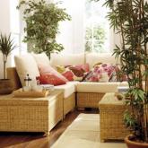 Standard Chair Cushion Set Cream