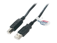 startech.com High Speed Certified USB 2.0 USB cable - 4.6 m