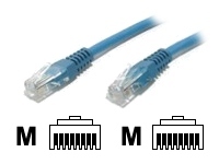 startech.com patch cable - 0.6 m