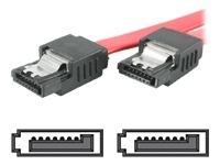 startech.com Serial ATA / SAS cable - 61 cm