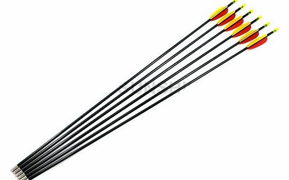 Stealth Archery Fibreglass Arrows Set of 6x26``