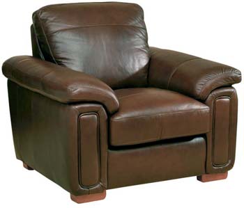 Steinhoff Furniture Dexter Leather Armchair