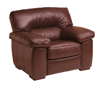 Steinhoff Furniture Lexington Leather Armchair