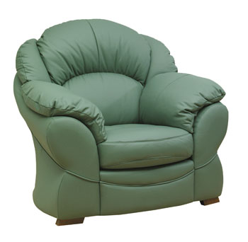 Steinhoff UK Furniture Ltd Maxine Leather Armchair - Fast Delivery