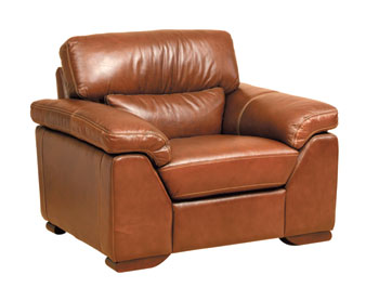 Steinhoff UK Furniture Ltd Yale Leather Armchair