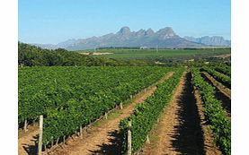 Wine Tour from Cape Town - Child