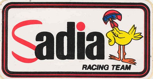 Stickers and Patches Sadia Racing Team Logo Sticker (13cm x 7cm)