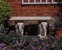 straight Elephant Garden Bench: W350xL1040xH440 - Natural Cream Stone