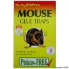 The Big Cheese Baited Mouse Glue