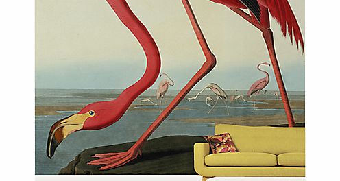 Surface View Greater Flamingo Wall Mural, 360 x
