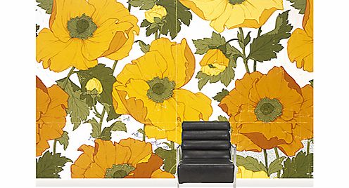 Surface View Summer Poppies Wall Mural, 360 x