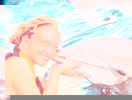 Swim with Dolphins Isla Mujeres - Adventure Swim