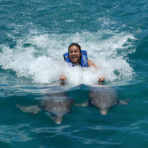 With The Dolphins At Isla Mujeres - Royal