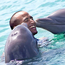 with the Dolphins from Montego Bay - Adult