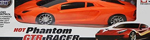 GTR Racer Lamborghini Aventador Radio Remote Control Car Model Toy 1:18