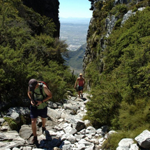 Table Mountain Hike Small Group Tour - Adult